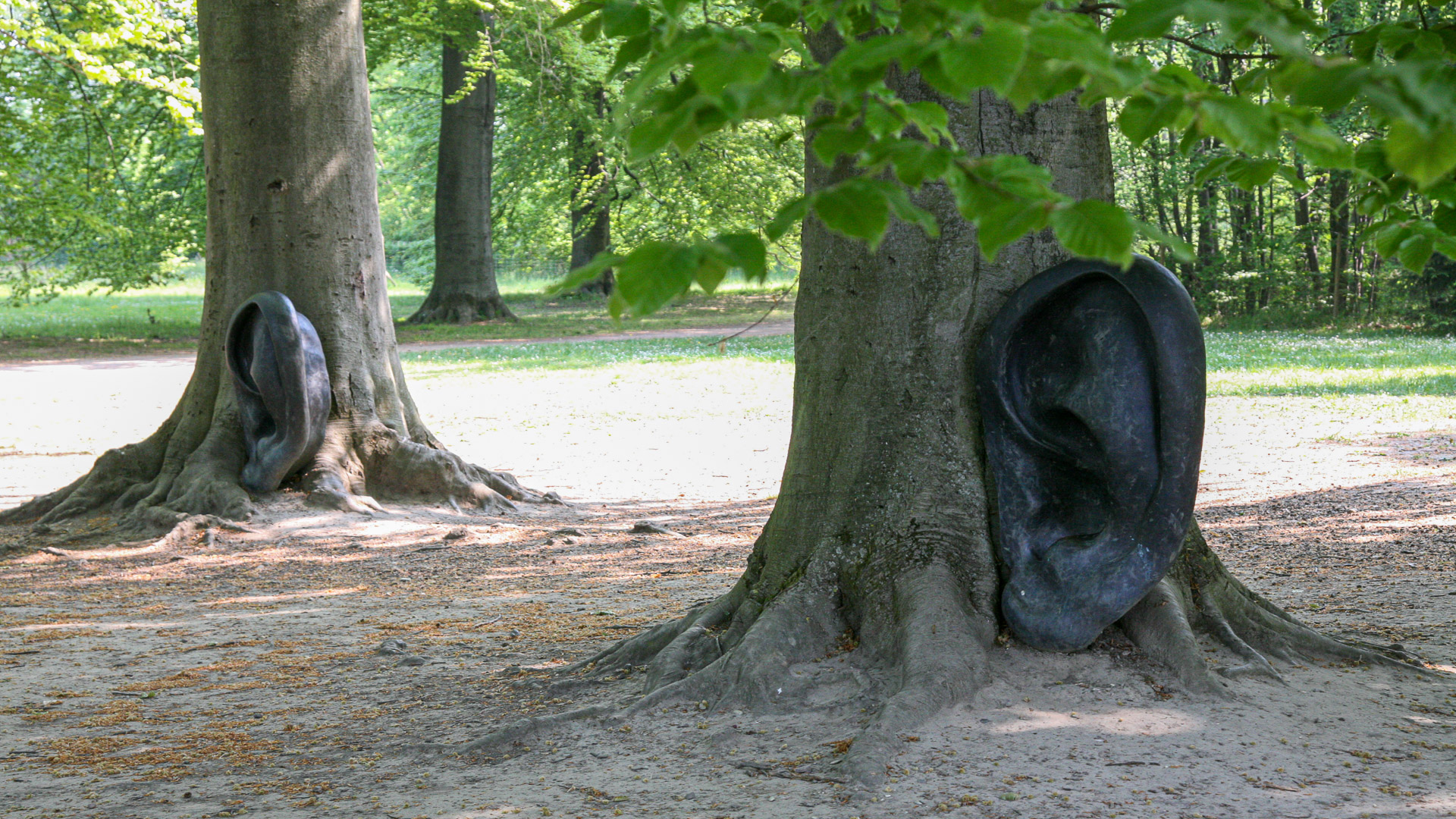 20070429101343 IMG 5356